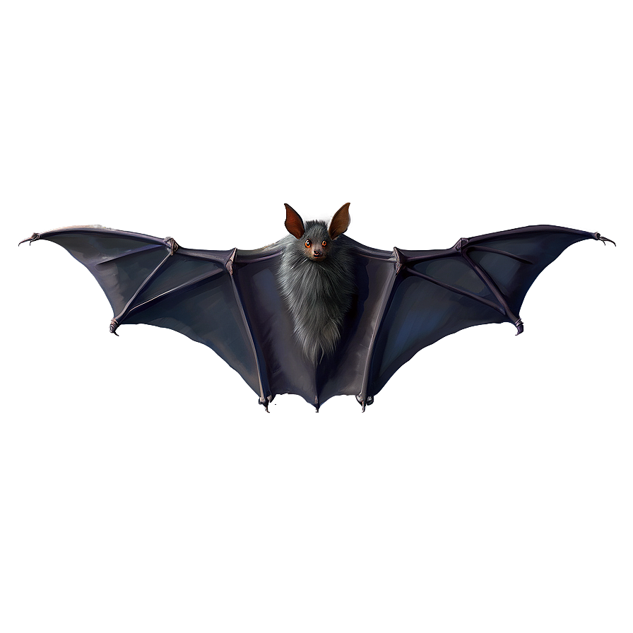 Bat Wings Png 2 PNG image