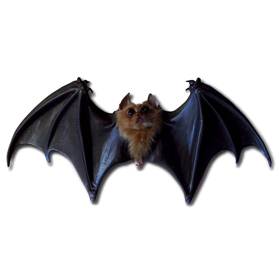 Bat Wings Png Brf56 PNG image