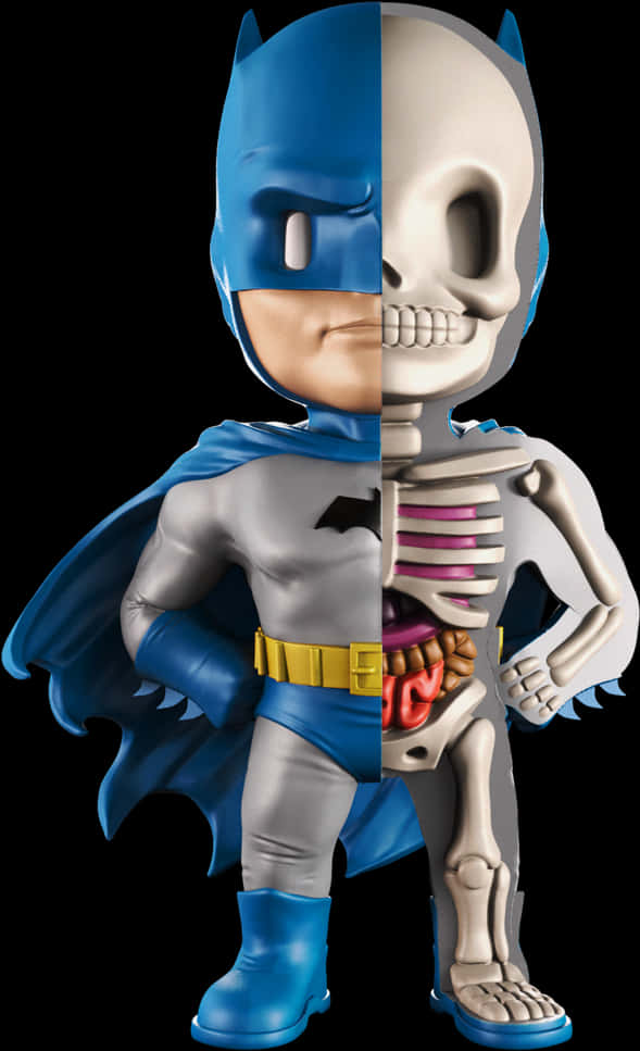 Batman_ Anatomy_ Split_ View PNG image