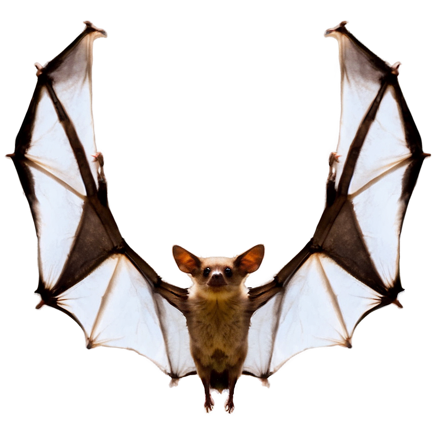 Bats Flying Formation Png Qth PNG image