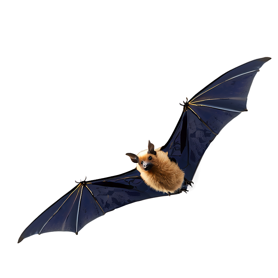 Bats Flying In Dusk Png 10 PNG image