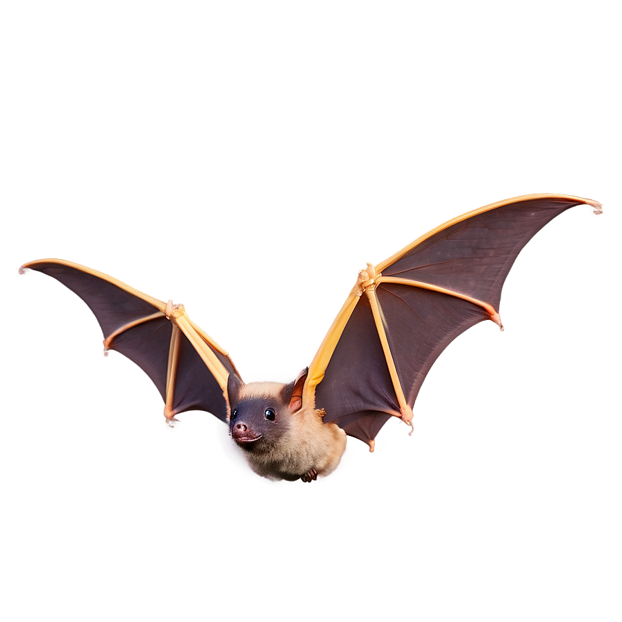 Bats Hovering In Sky Png 73 PNG image