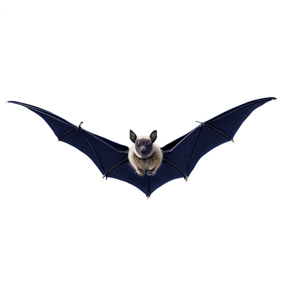 Bats Swarm Overlay Png 05232024 PNG image