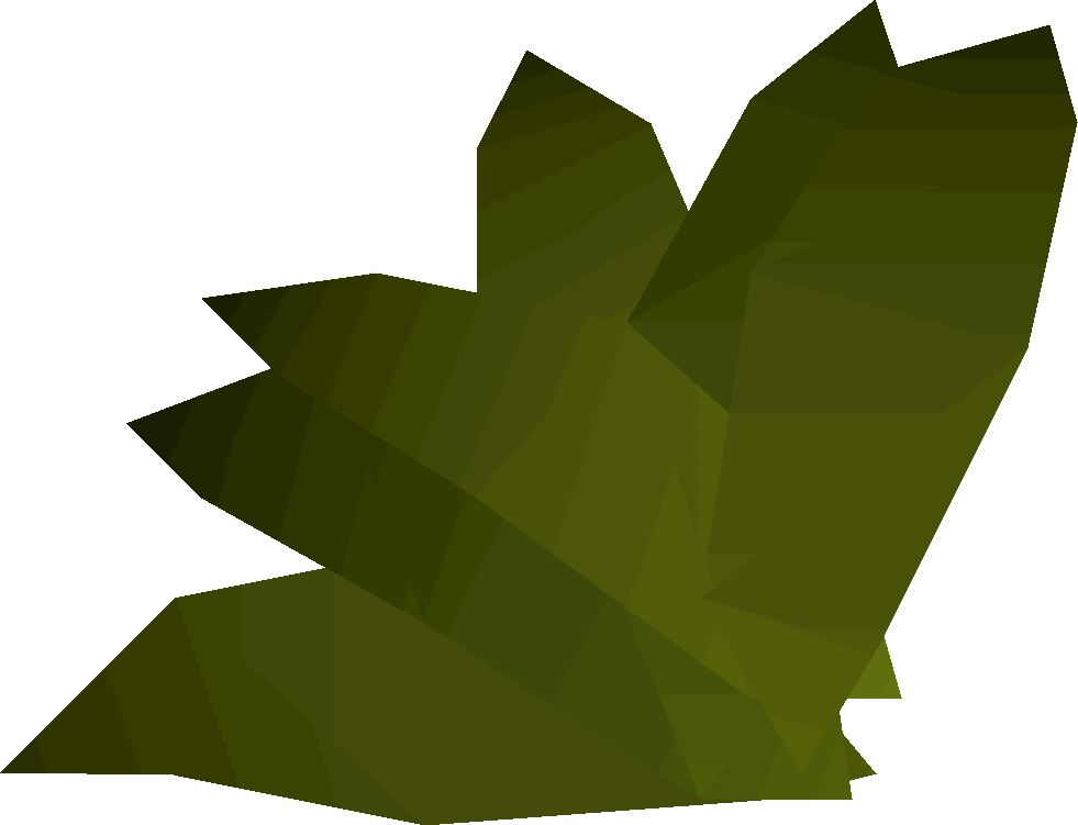 Bay Leaves Vector Illustration PNG image