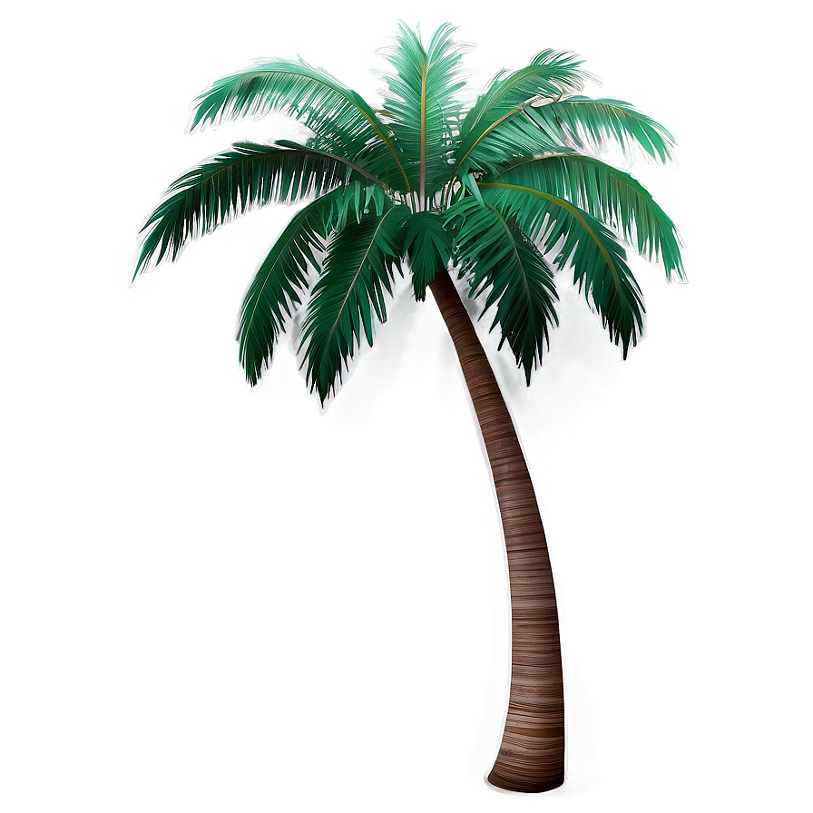 Beach Palm Tree Png Jta1 PNG image
