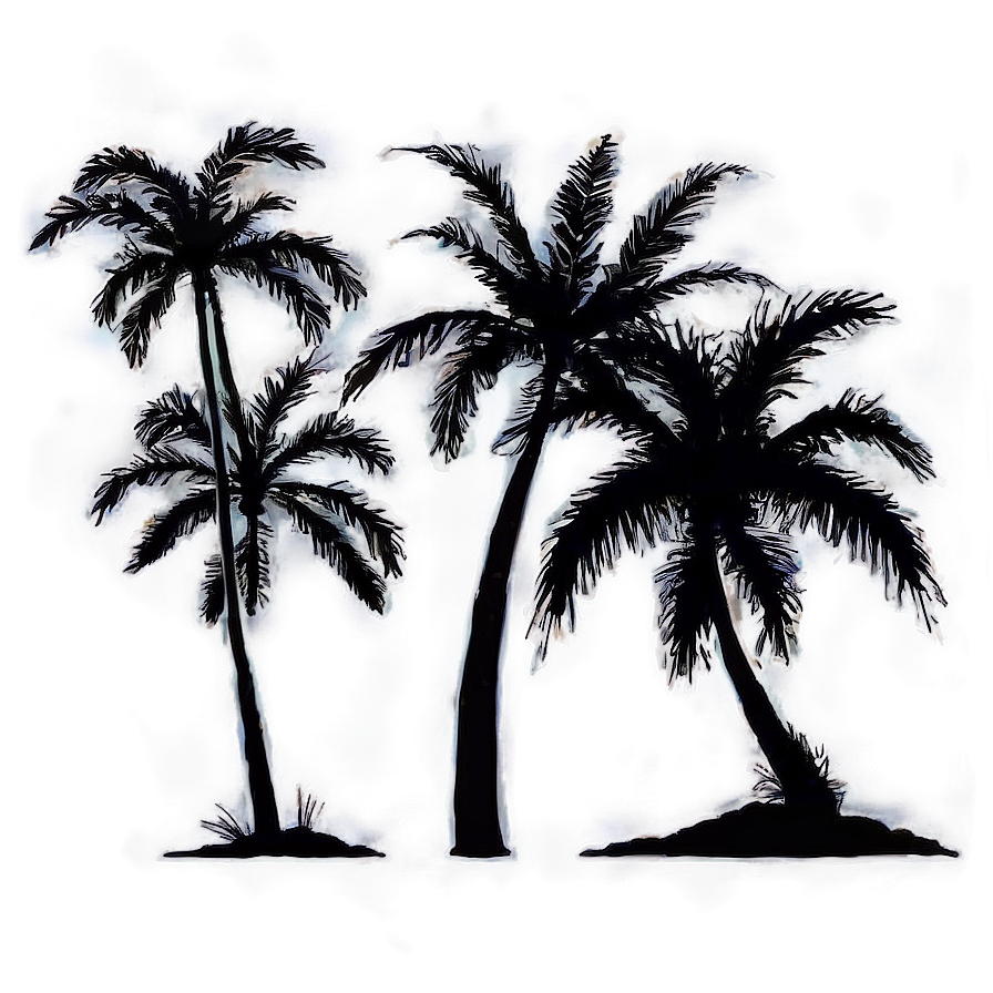 Beach Palms Silhouette Png 59 PNG image