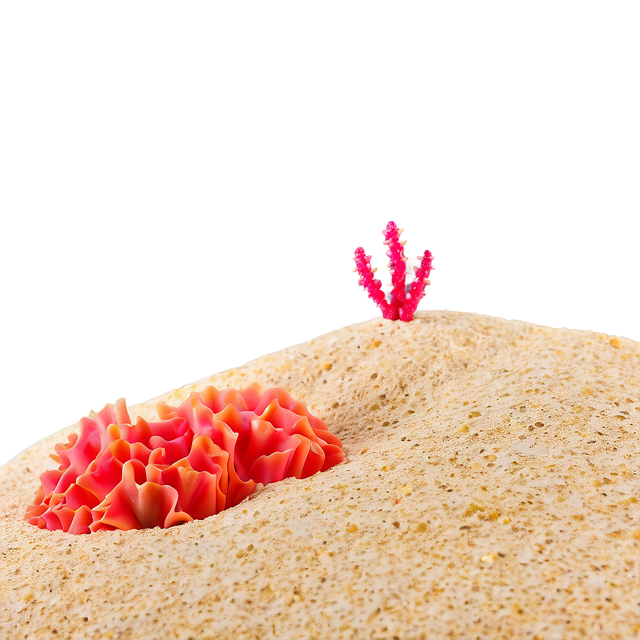 Beach Sand With Coral Png 40 PNG image