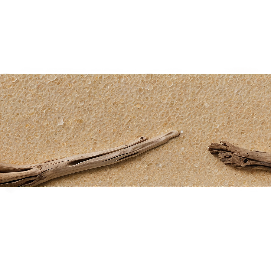 Beach Sand With Driftwood Png 06292024 PNG image