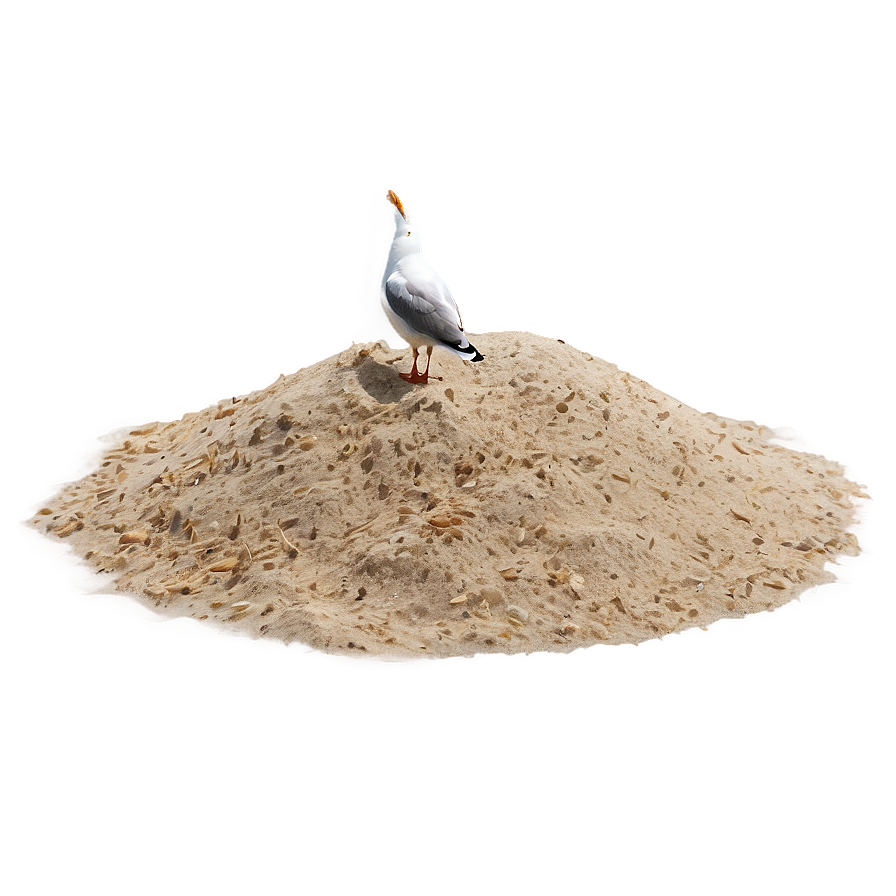 Beach Sand With Seagull Png 06292024 PNG image