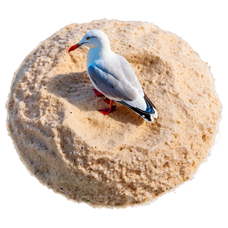 Beach Sand With Seagull Png Pgv53 PNG image