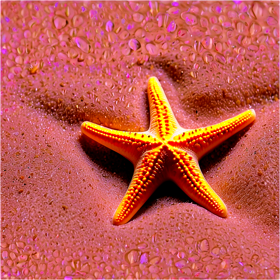 Beach Sand With Starfish Png Vps72 PNG image