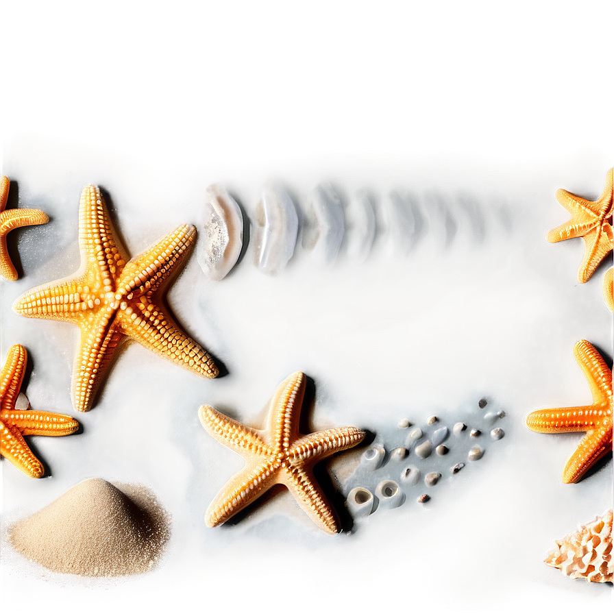 Beach Starfish Sands Png 06132024 PNG image