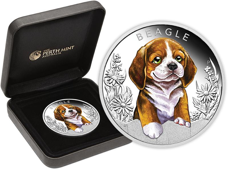 Beagle Commemorative Coin Perth Mint PNG image