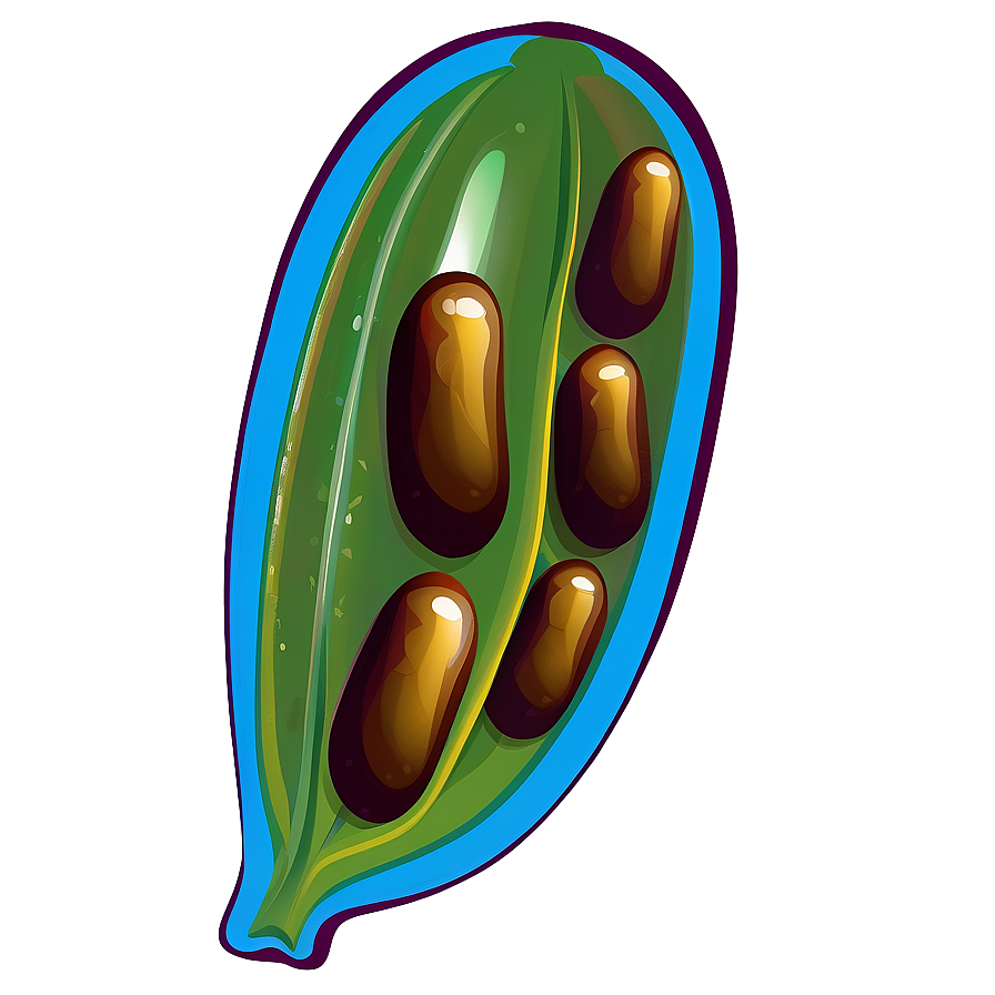 Bean Pod Clipart Png 05242024 PNG image