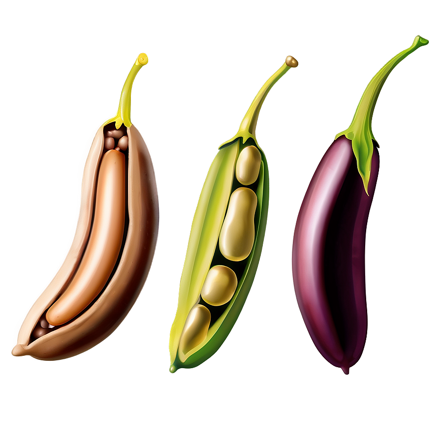 Bean Pod Clipart Png Ojf PNG image