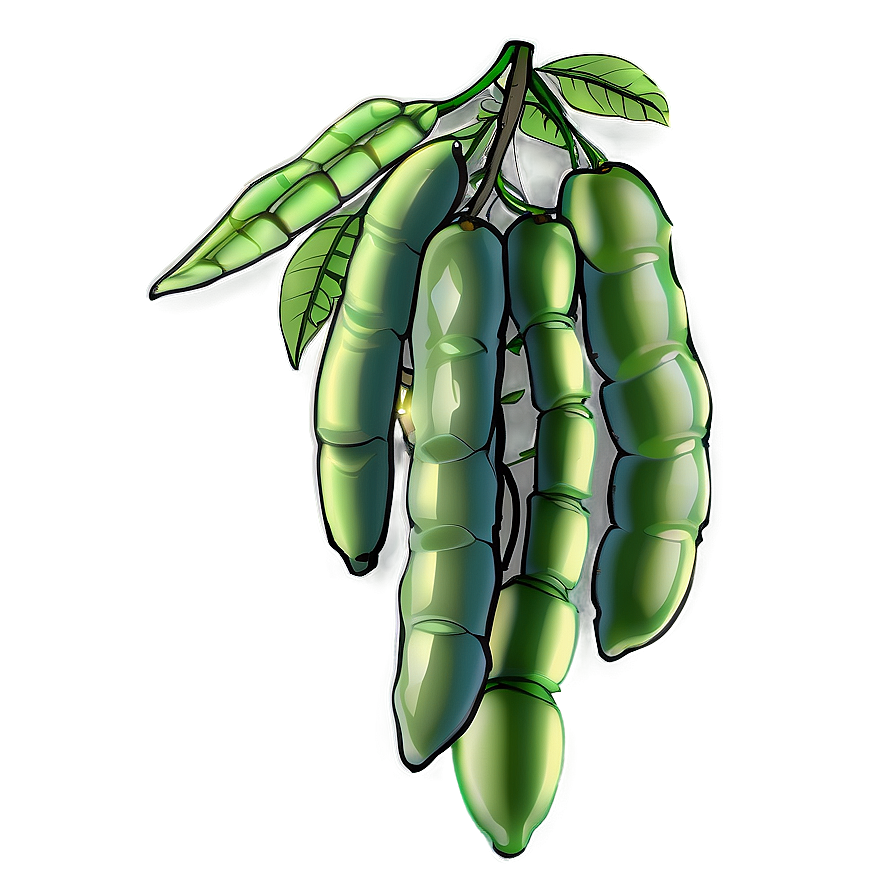 Beans Plant Png Pjf60 PNG image