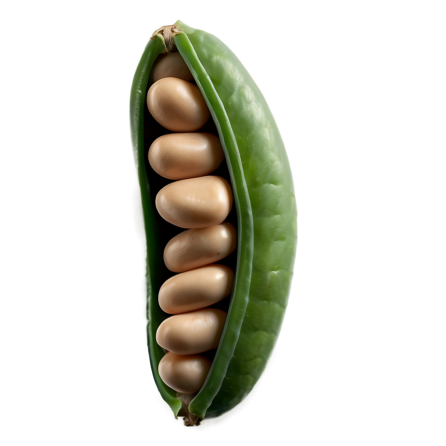 Beans Pod Png 05242024 PNG image