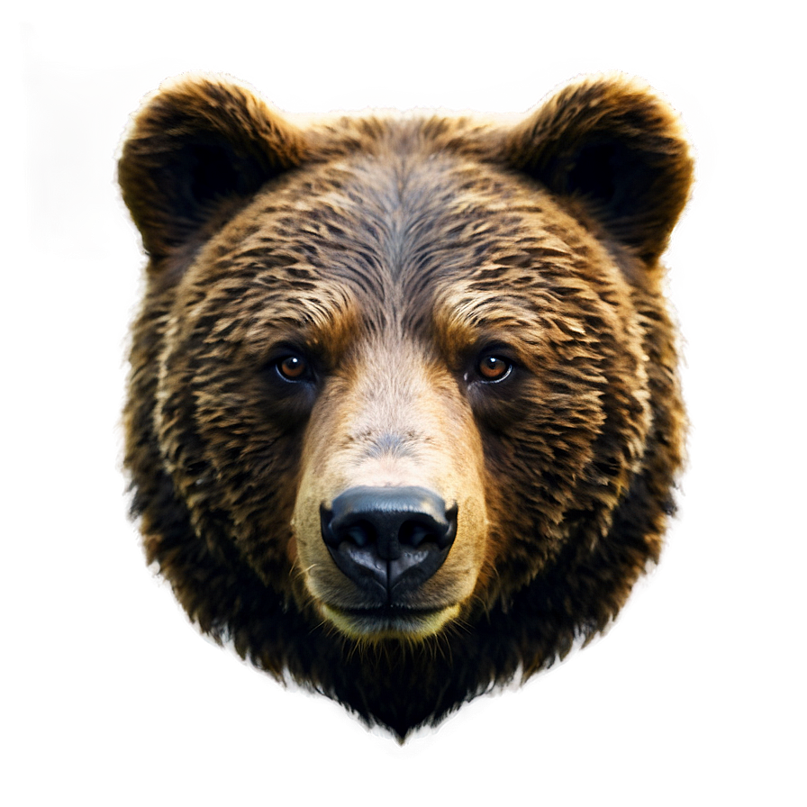 Bear Face Avatar Png 81 PNG image