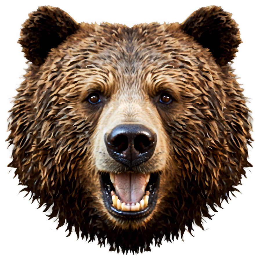 Bear Face C PNG image