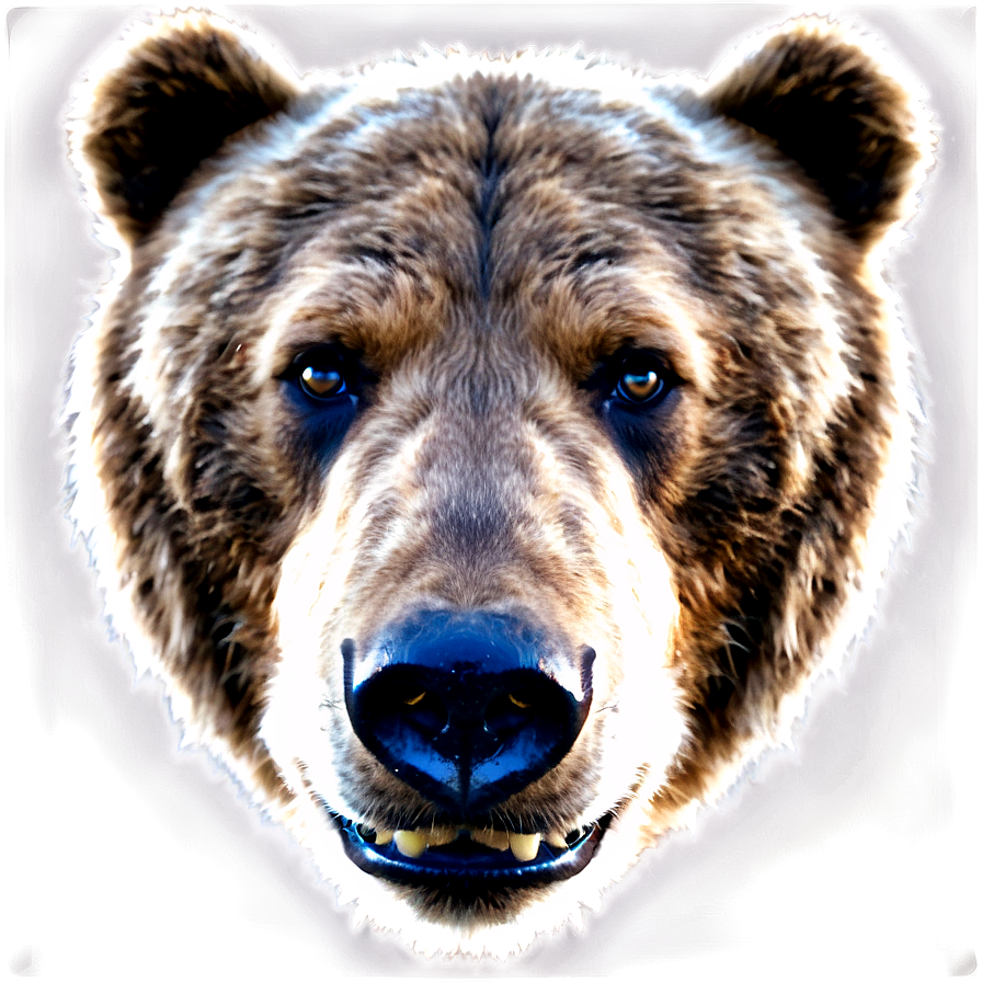 Bear Face Expression Png Yua95 PNG image