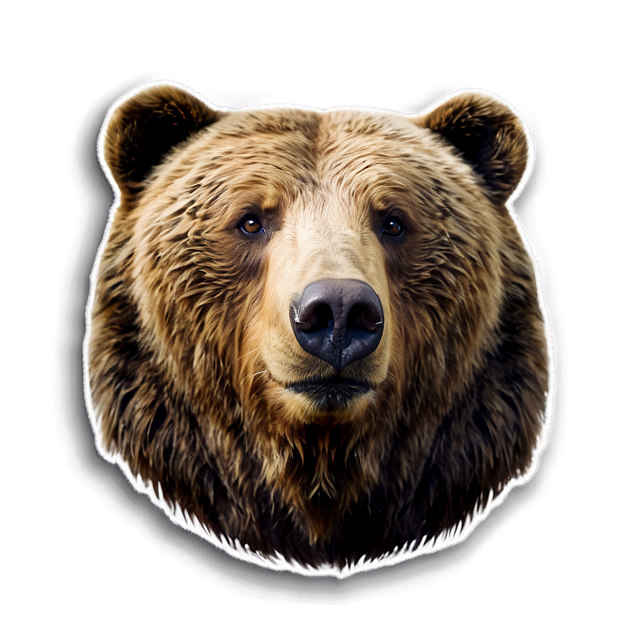 Bear Face Sticker Png 06292024 PNG image