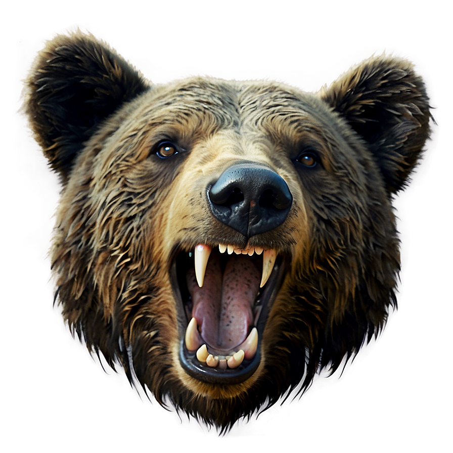 Bear Face Symbol Png 67 PNG image