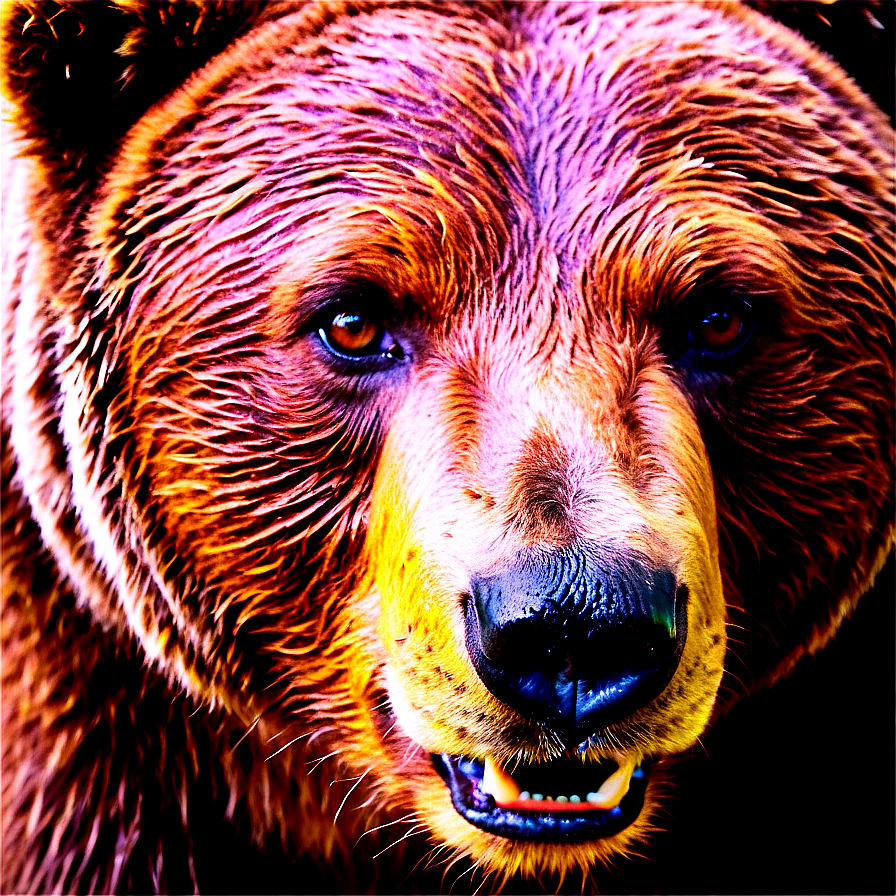 Bear Face With Text Png 06292024 PNG image