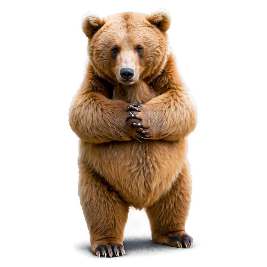 Bear Hug Png 06112024 PNG image