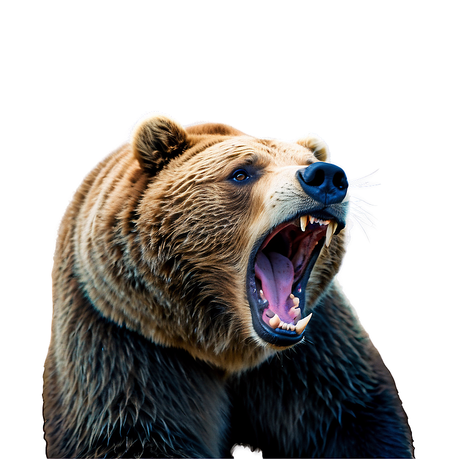 Bear Roaring Png 05032024 PNG image