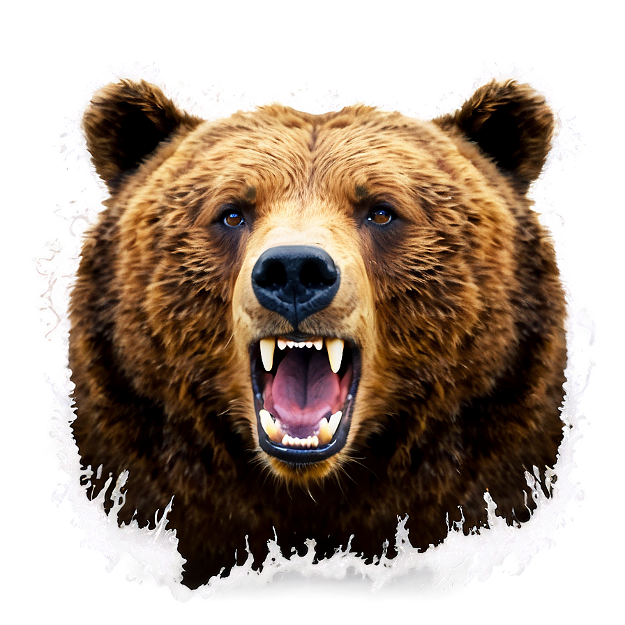 Bear Roaring Png 76 PNG image