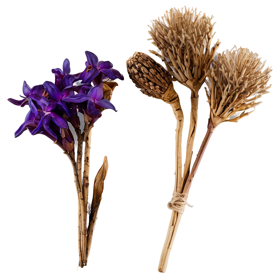 Beautiful Dried Bouquets Png 22 PNG image