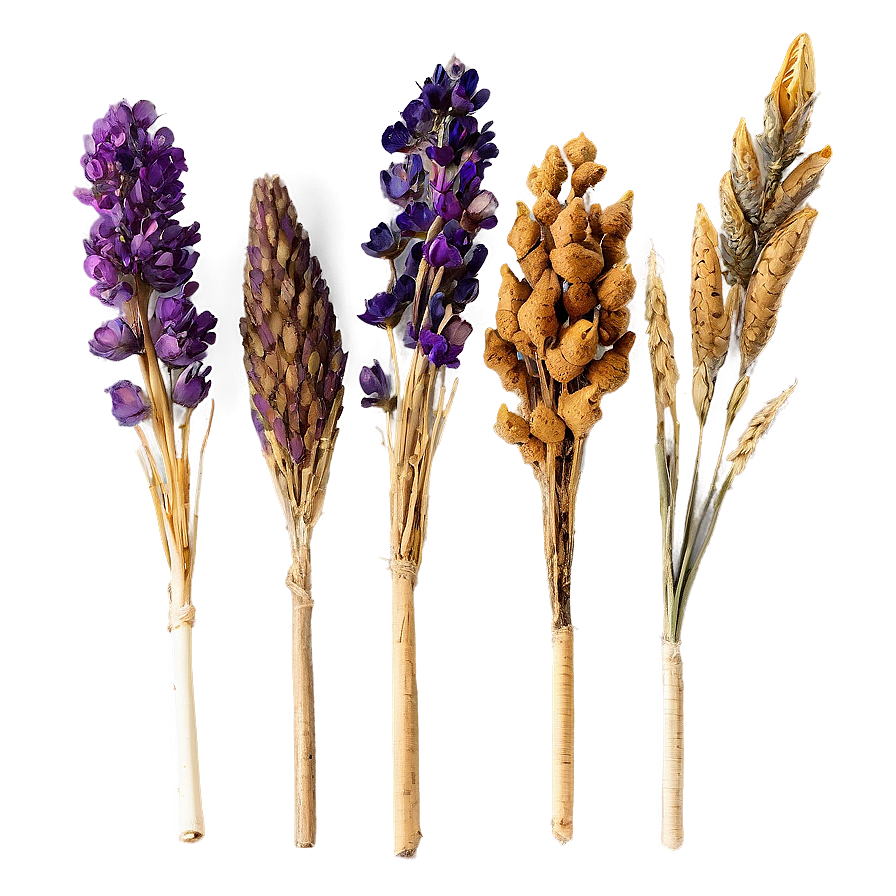 Beautiful Dried Bouquets Png Kgw PNG image