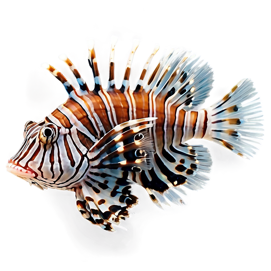 Beautiful Lionfish Png 1 PNG image