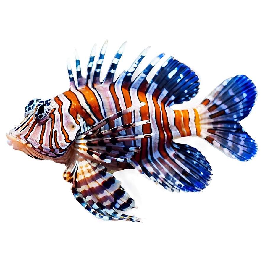 Beautiful Lionfish Png 2 PNG image