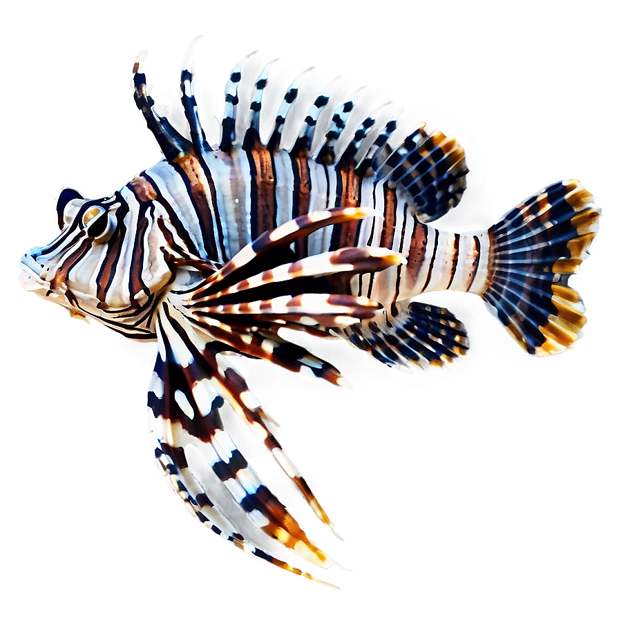 Beautiful Lionfish Png Ayp95 PNG image