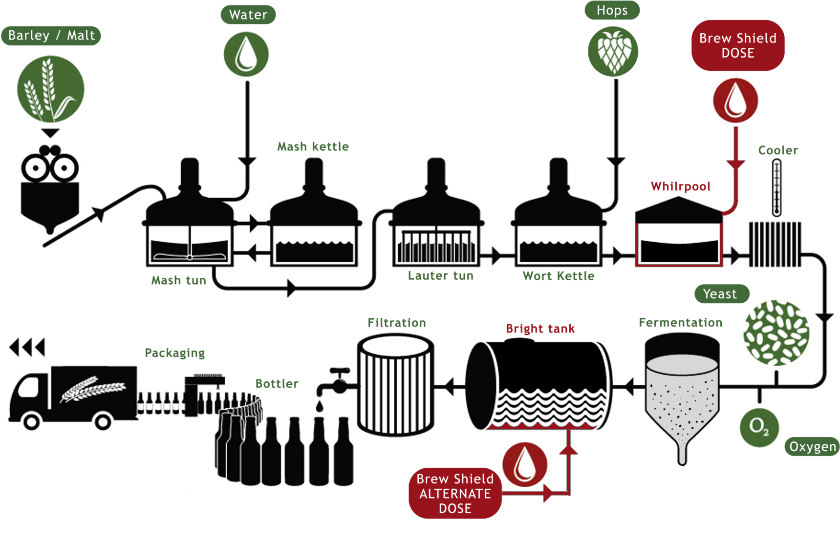 Beer Brewing Process Flowchart PNG image