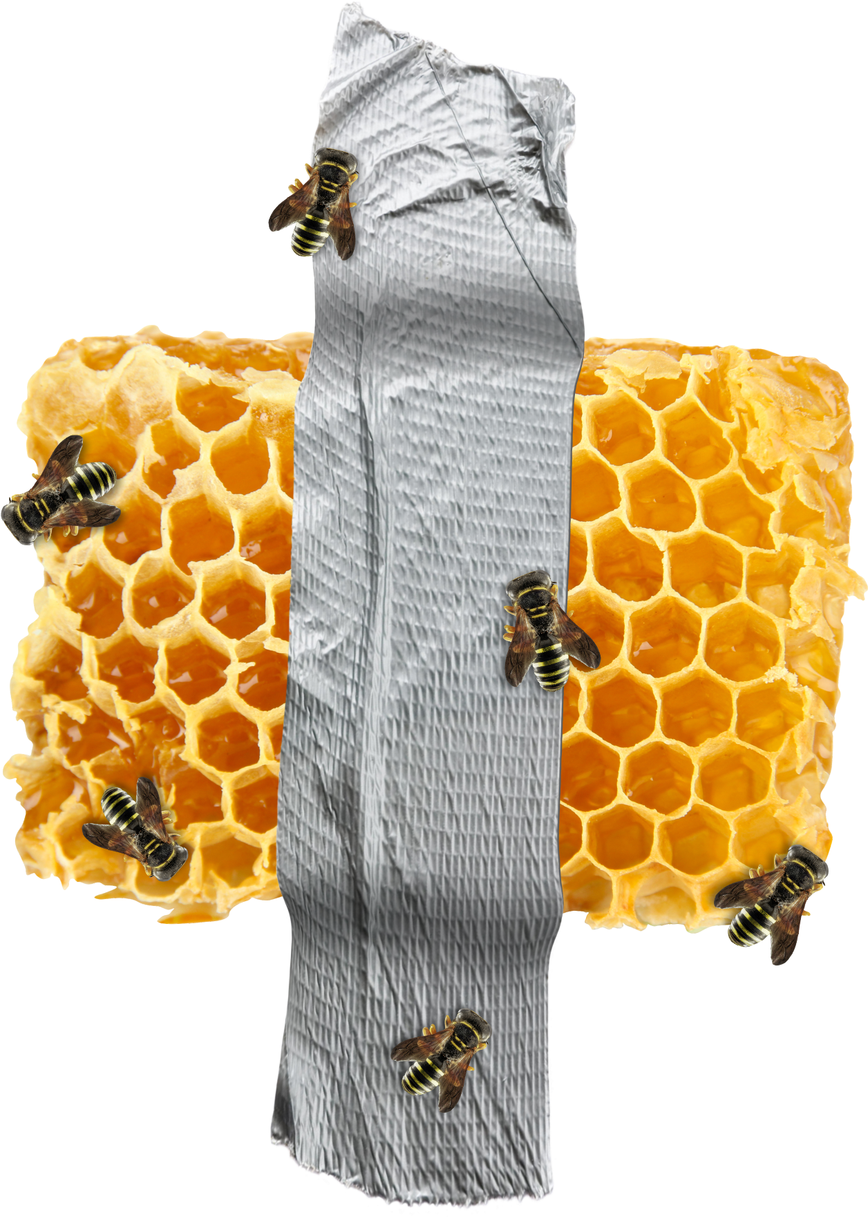 Beeson Honeycombwith Duct Tape PNG image