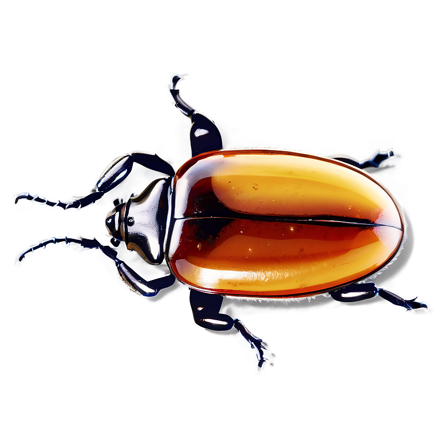 Beetle In Amber Png 28 PNG image