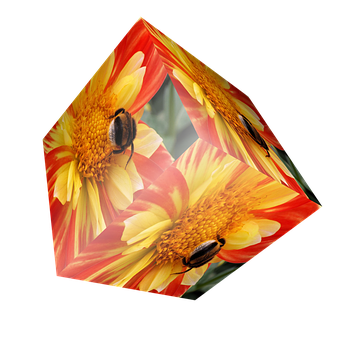 Beetleson Flowers Cube PNG image