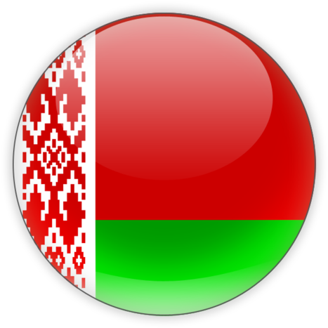 Belarus National Flag Button PNG image