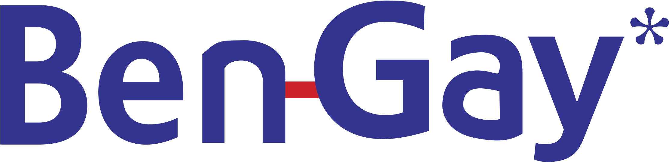 Ben Gay Logo PNG image