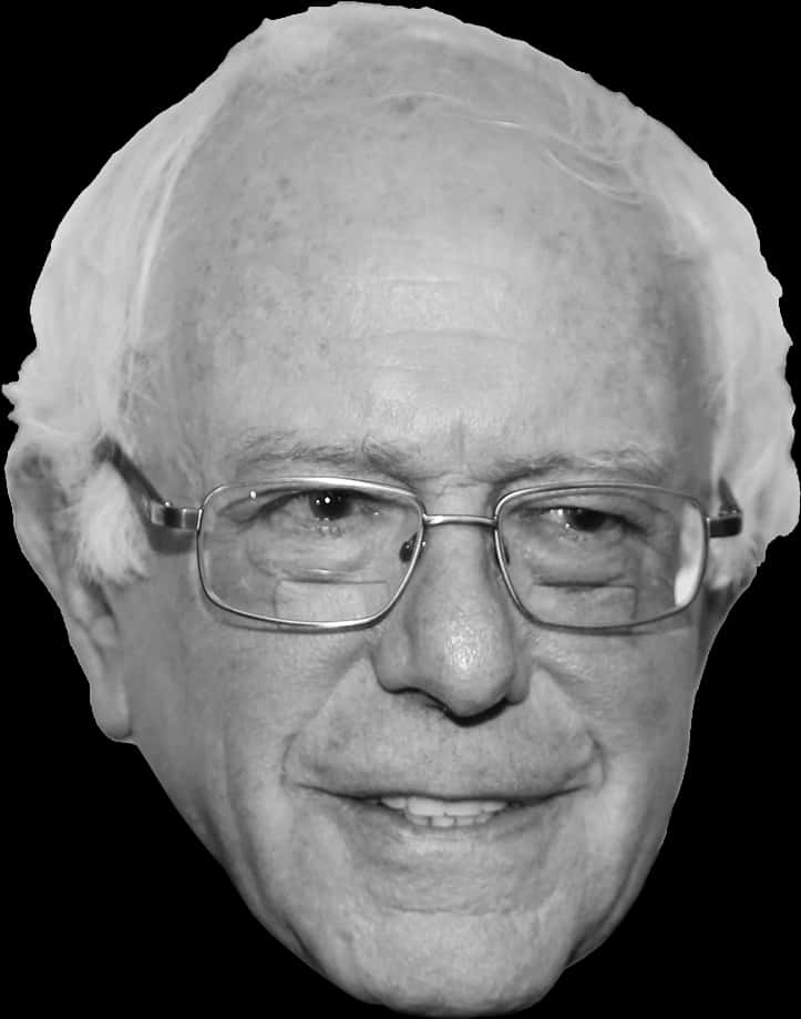 Bernie Sanders Blackand White Portrait PNG image