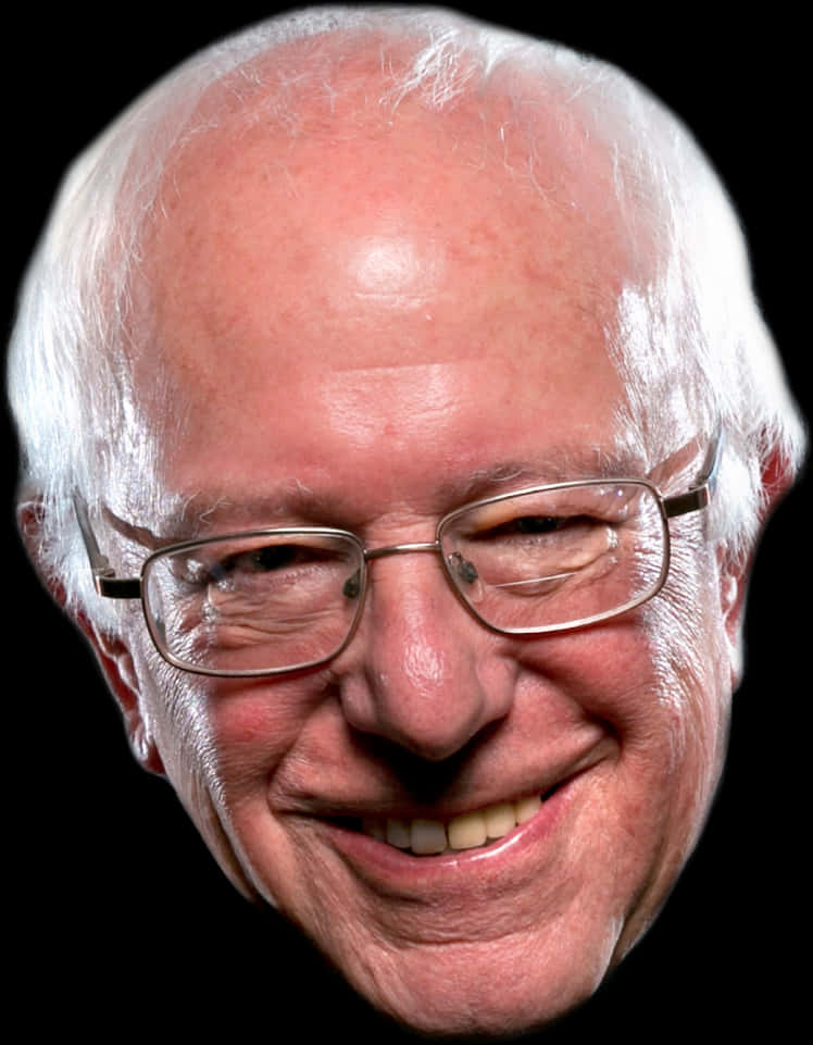 Bernie Sanders Smiling Portrait PNG image