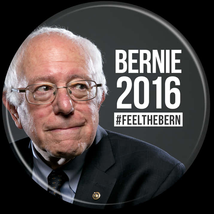 Bernie Sanders2016 Campaign Button PNG image