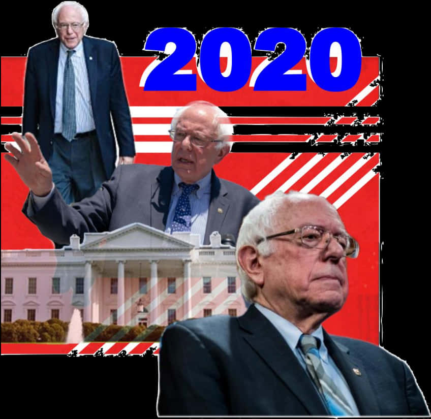 Bernie Sanders2020 Campaign Collage PNG image