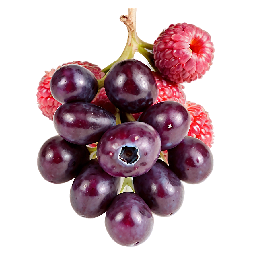 Berries D PNG image