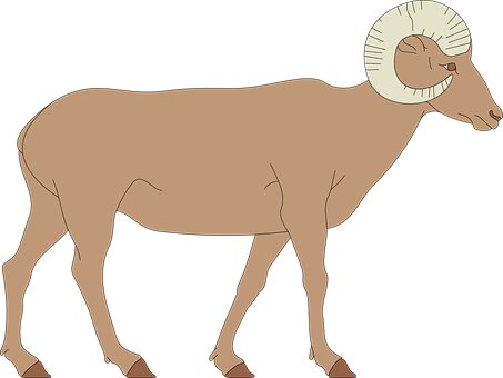 Bighorn Sheep Silhouette PNG image