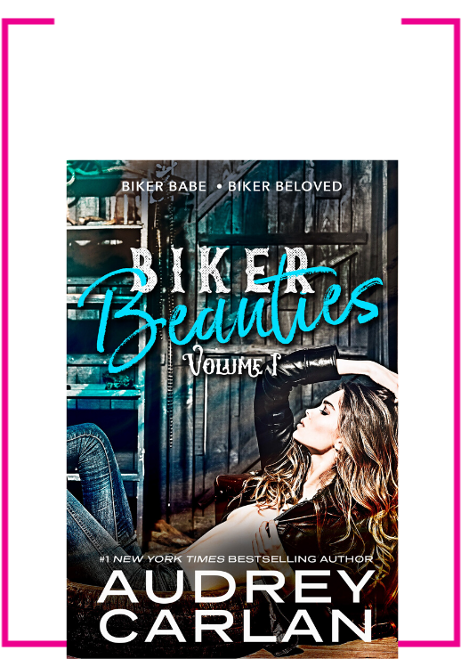 Biker Beauties Volume1 Book Cover PNG image