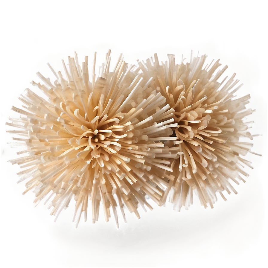 Biodegradable Pom Poms Png 68 PNG image