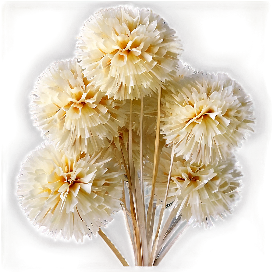 Biodegradable Pom Poms Png Ale PNG image